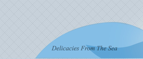 header_seaflavor1